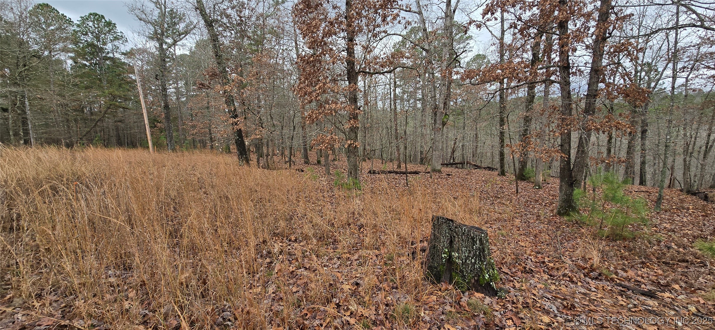 1536 Cherokee Ridge Trail Property Photo 12