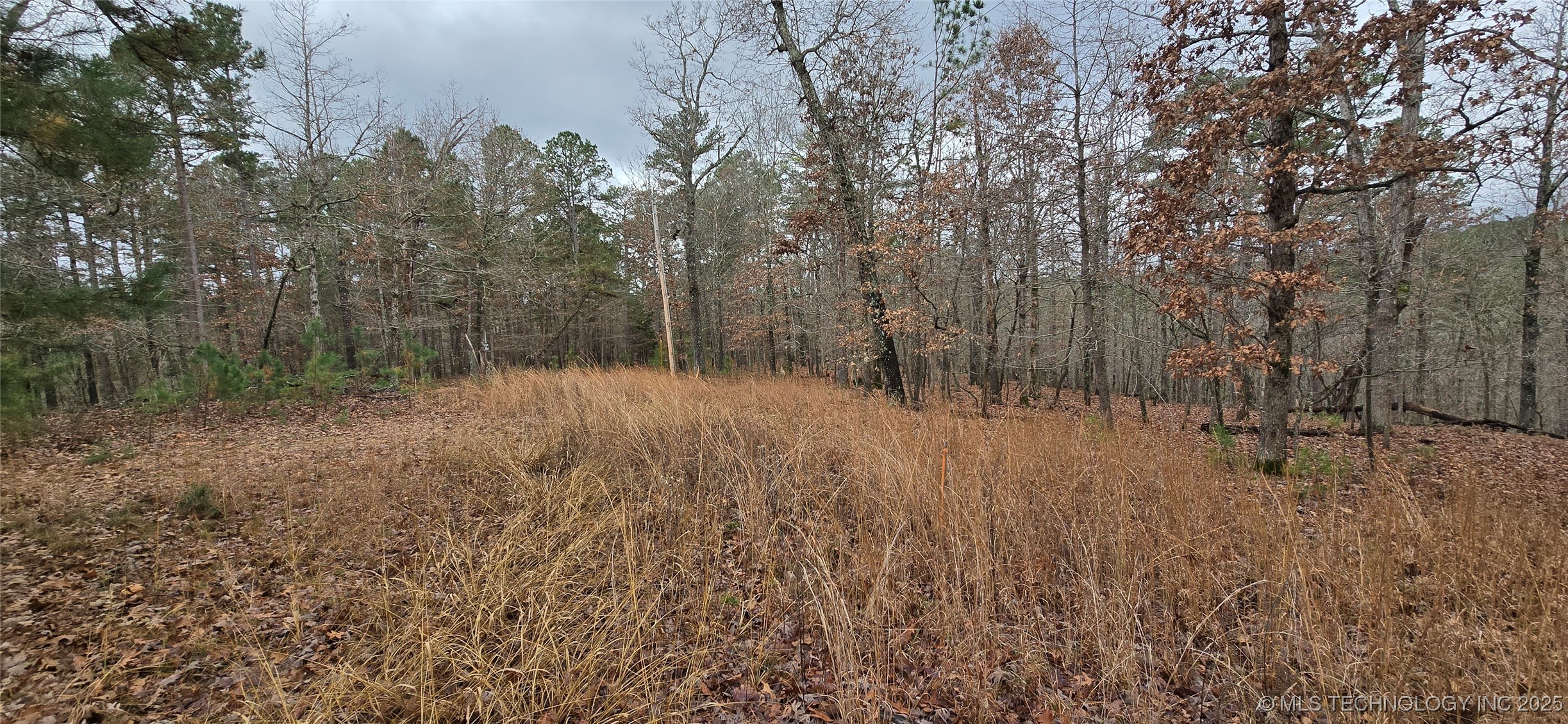 1536 Cherokee Ridge Trail Property Photo 13