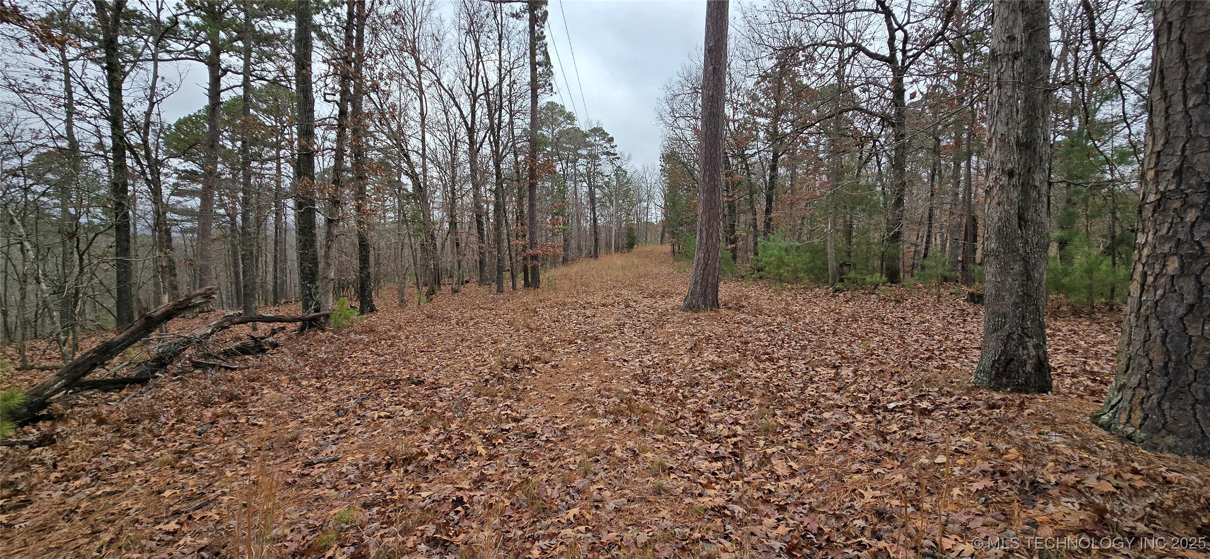 1536 Cherokee Ridge Trail Property Photo 14