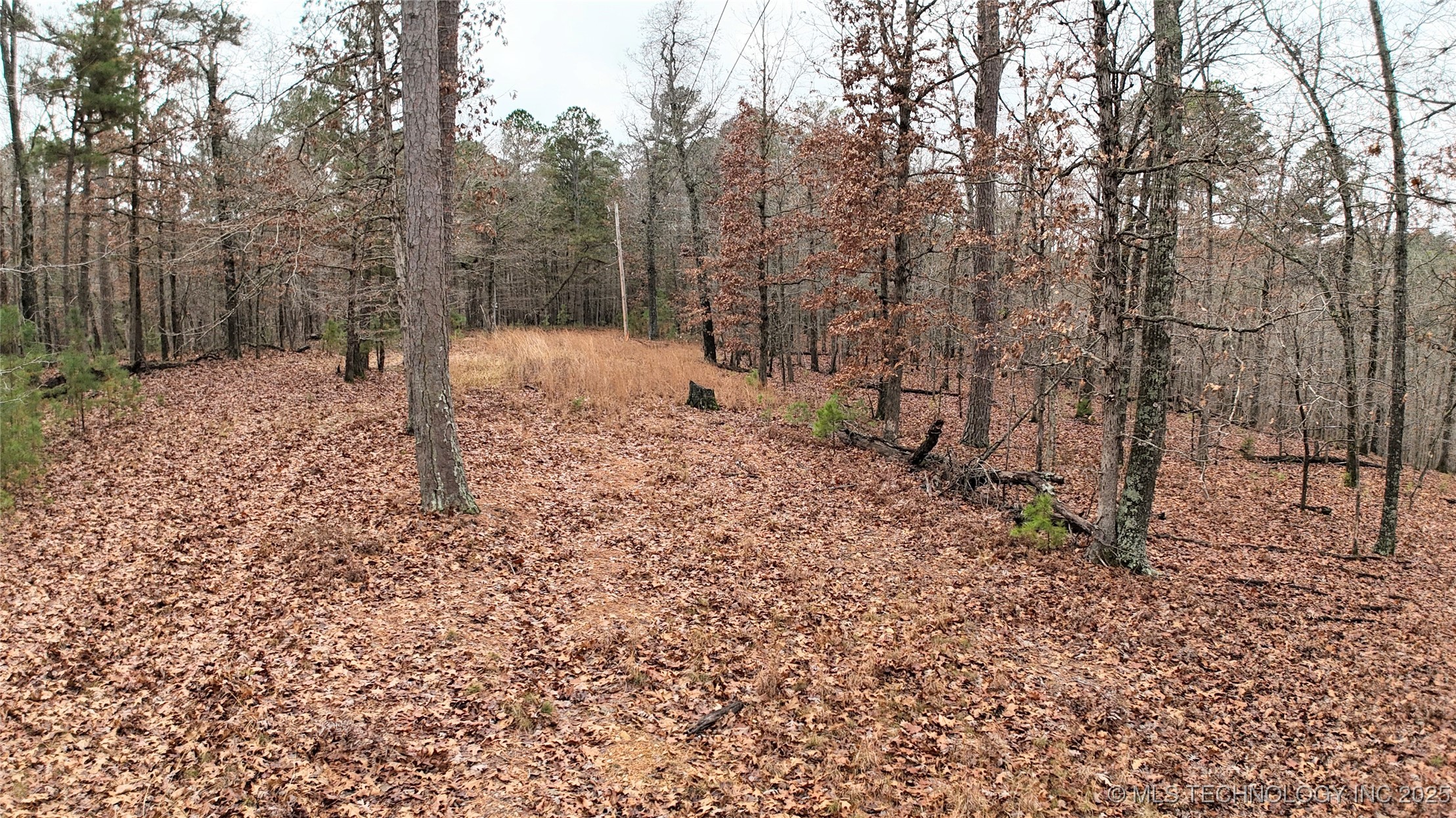 1536 Cherokee Ridge Trail Property Photo 15