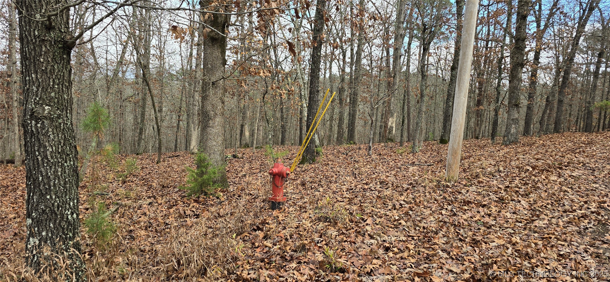 1536 Cherokee Ridge Trail Property Photo 18