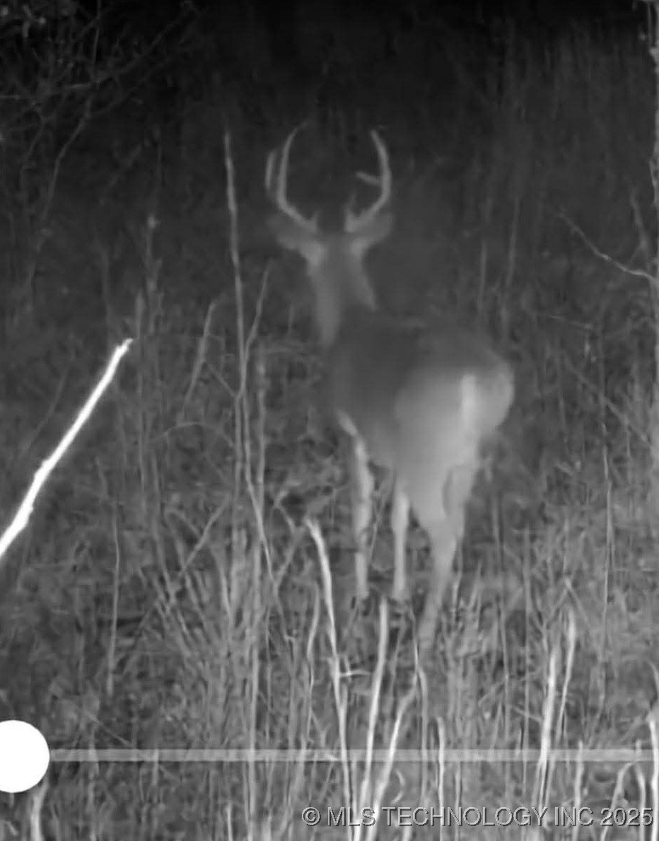 3815 W Ferguson Road Property Photo 11