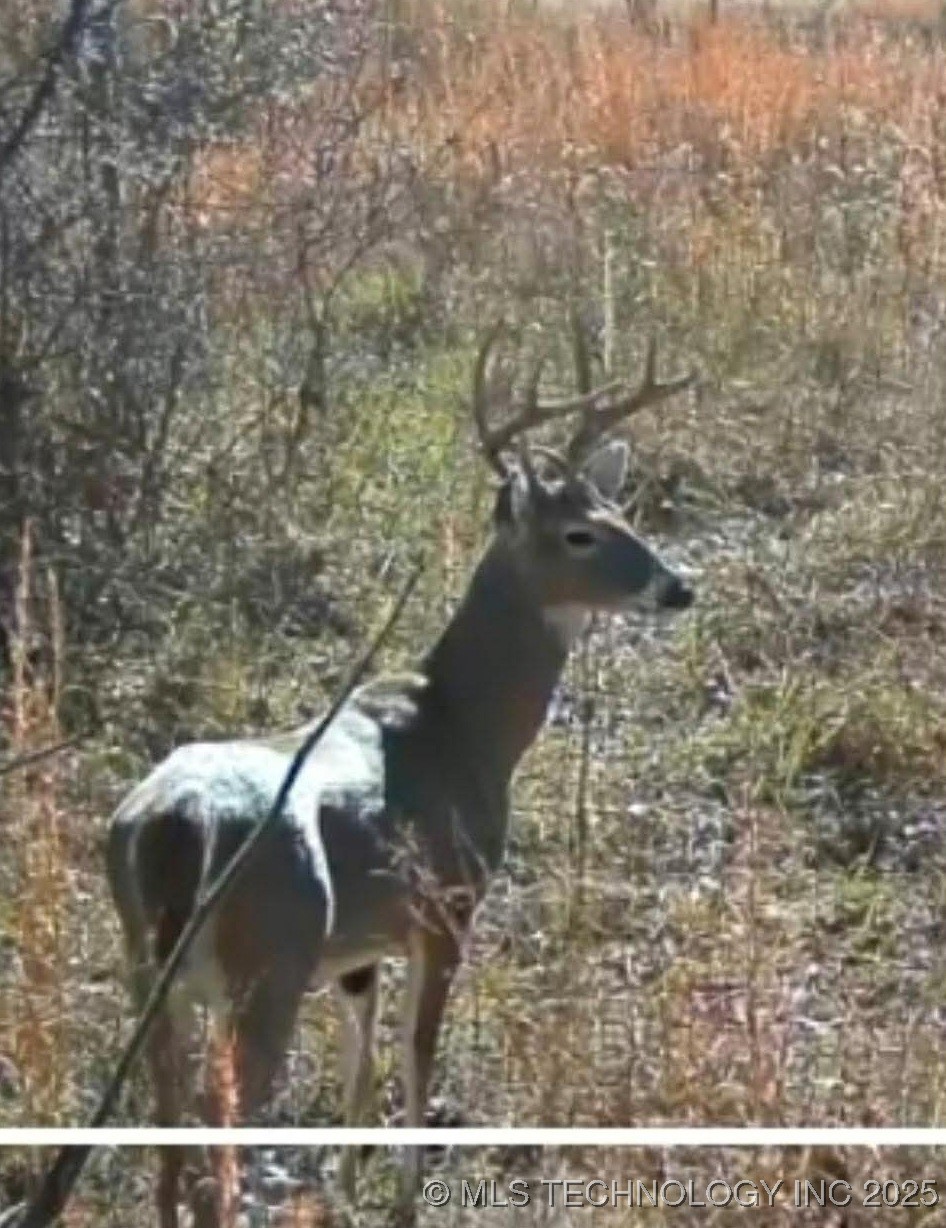 3815 W Ferguson Road Property Photo 12