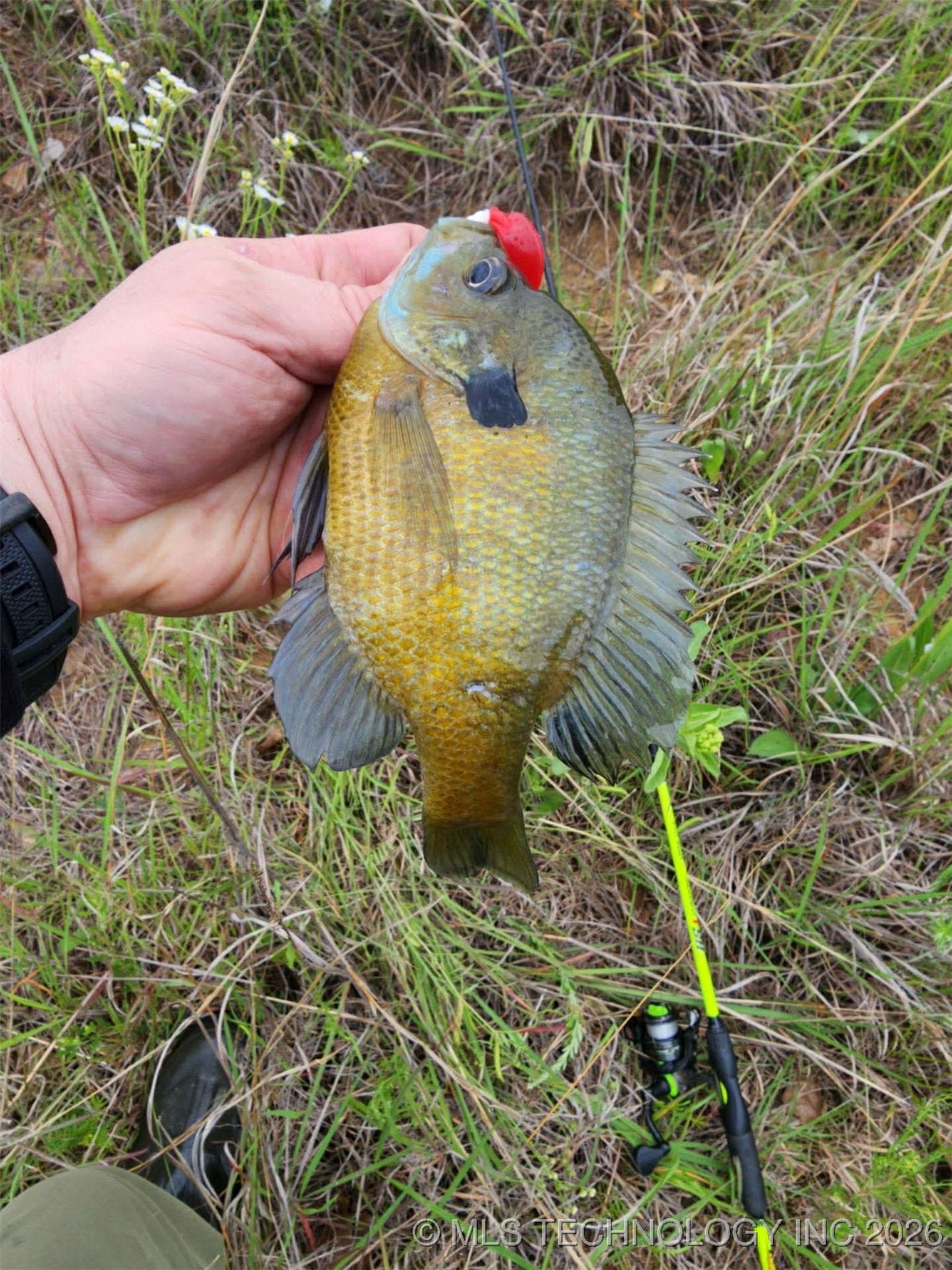 3815 W Ferguson Road Property Photo 14