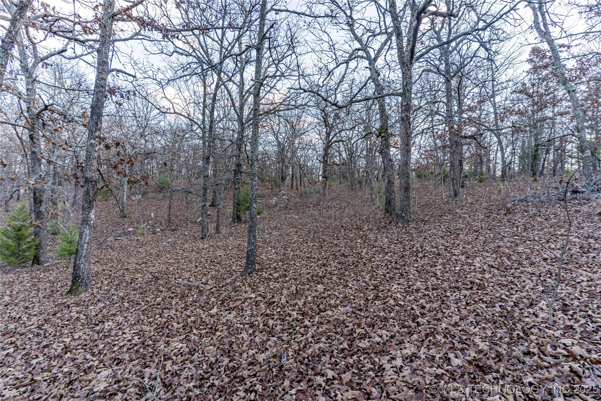 12763 S 305th West Avenue Property Photo 16