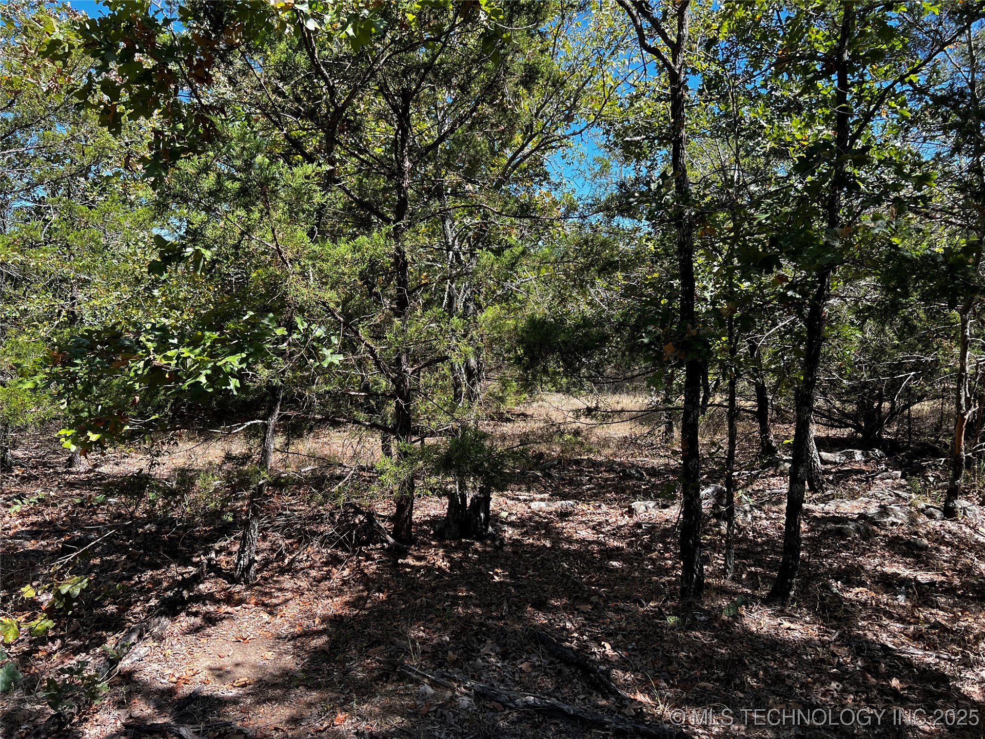 Rocky Point Property Photo 1