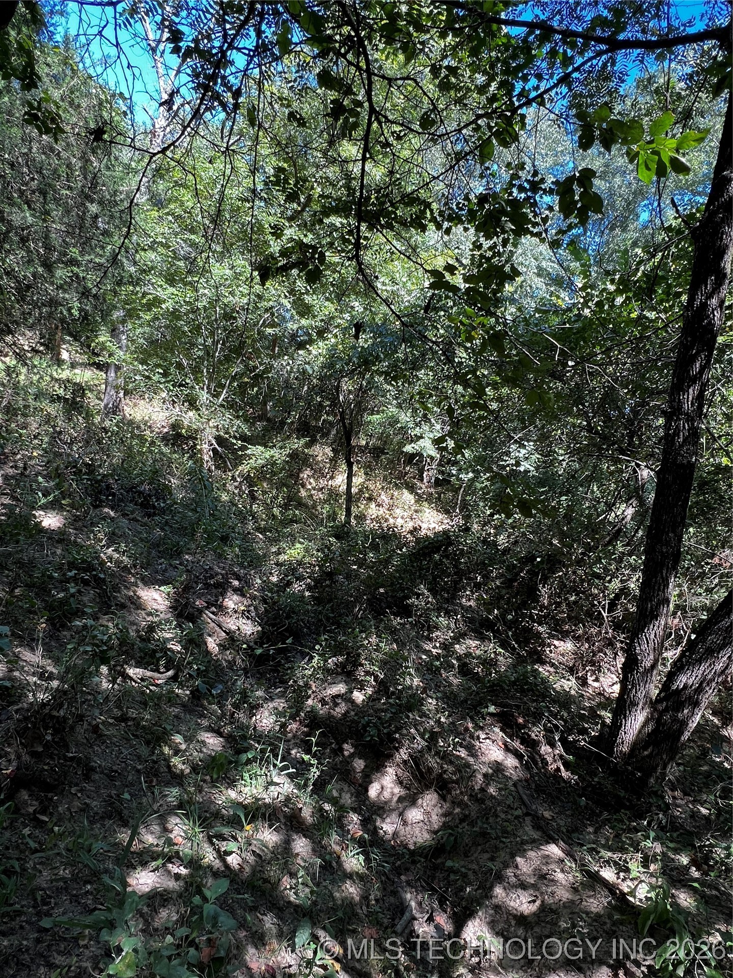 Rocky Point Property Photo 2