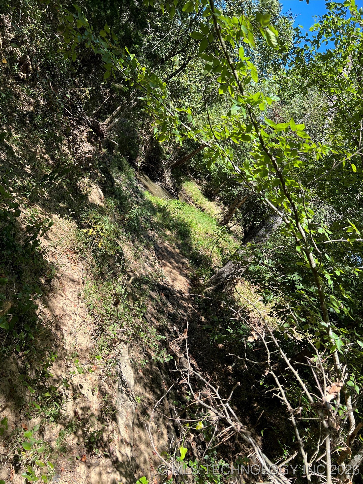 Rocky Point Property Photo 3