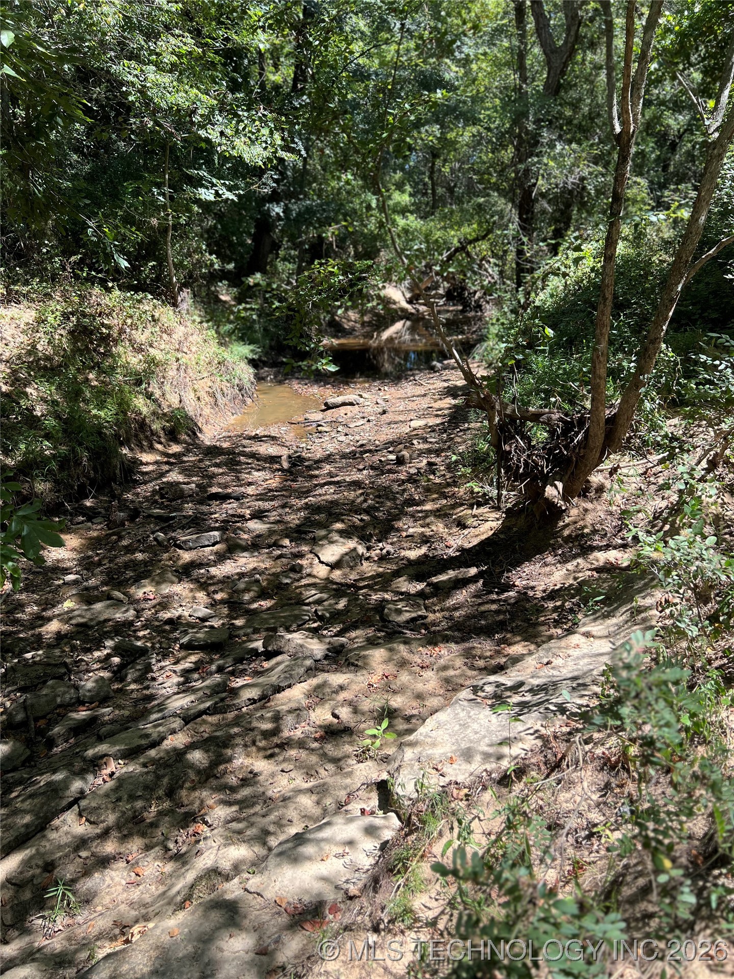 Rocky Point Property Photo 4