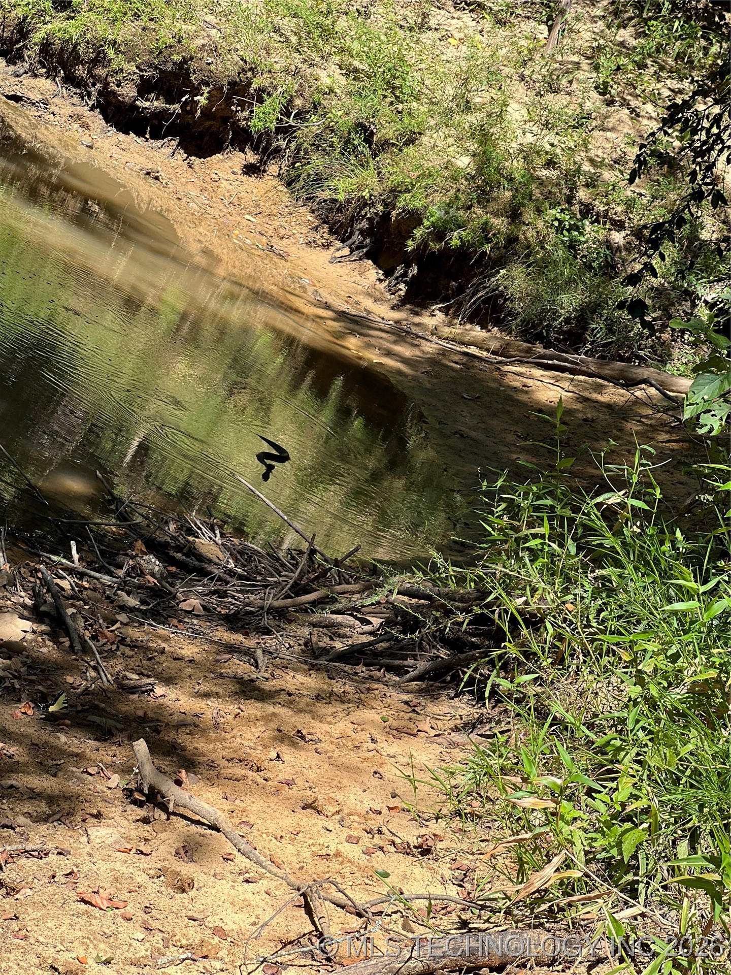 Rocky Point Property Photo 5