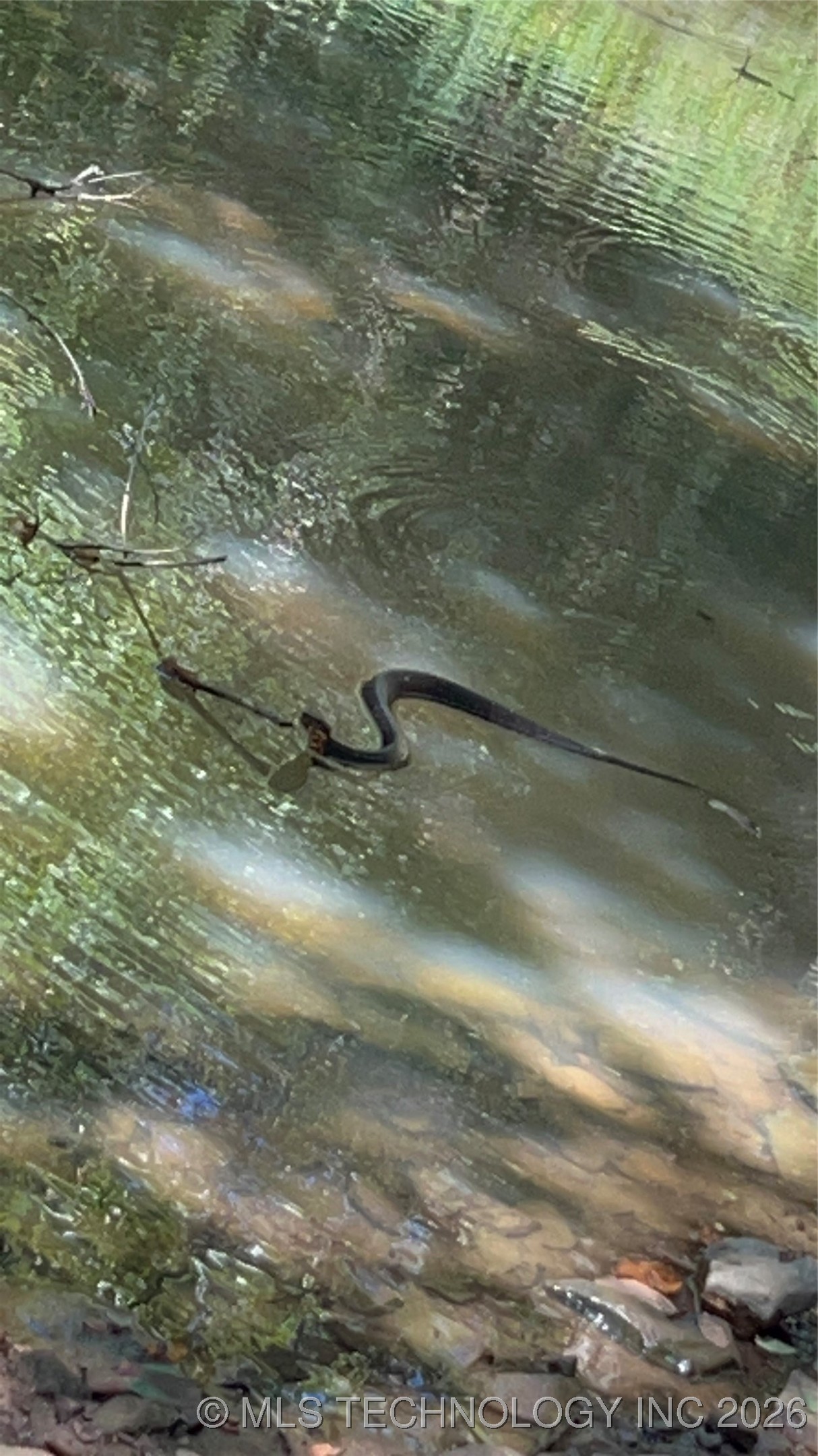 Rocky Point Property Photo 6