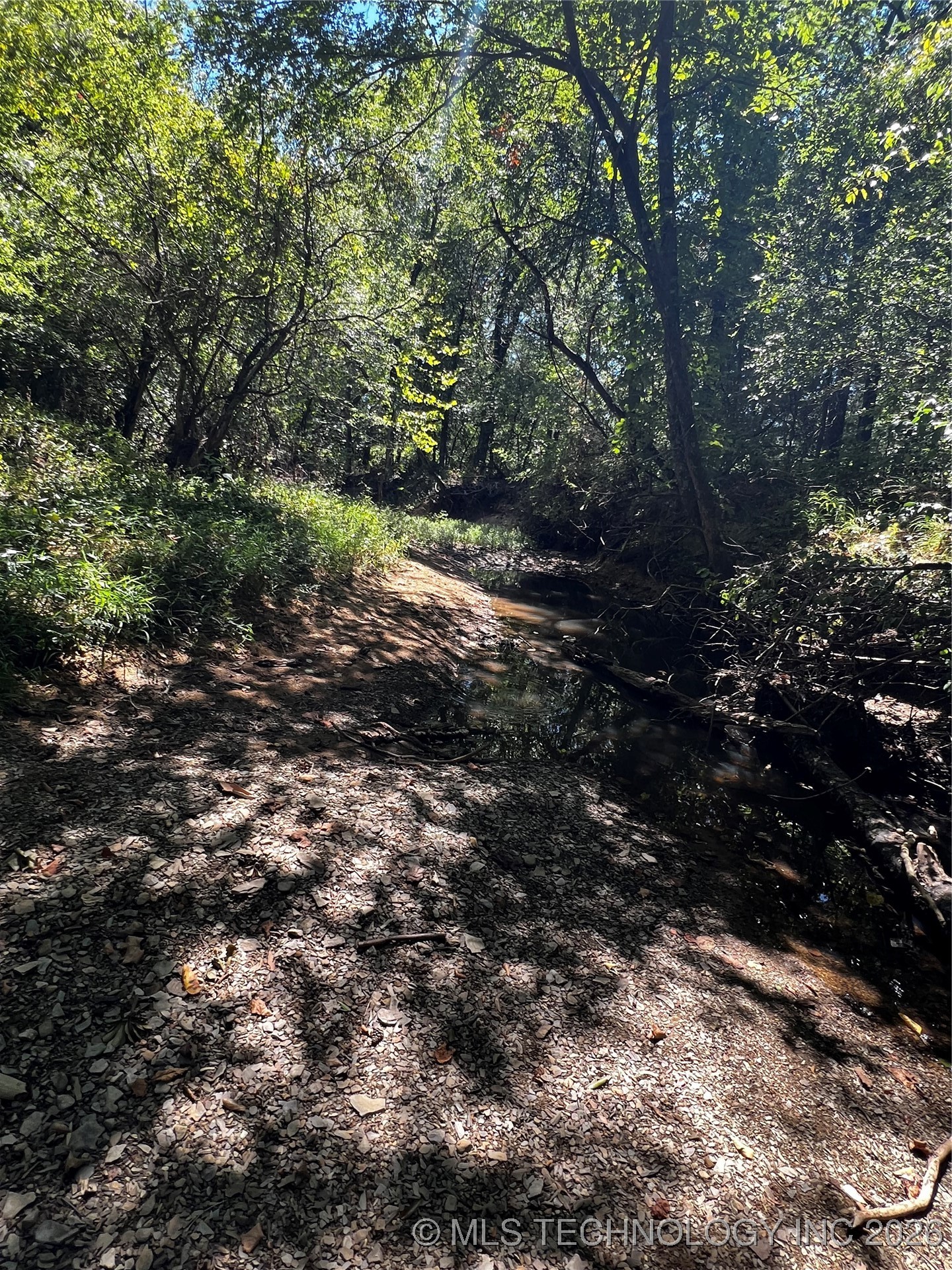 Rocky Point Property Photo 8