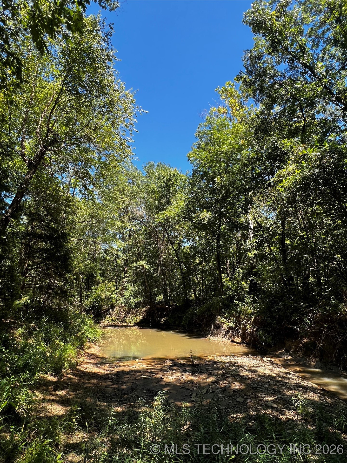 Rocky Point Property Photo 9