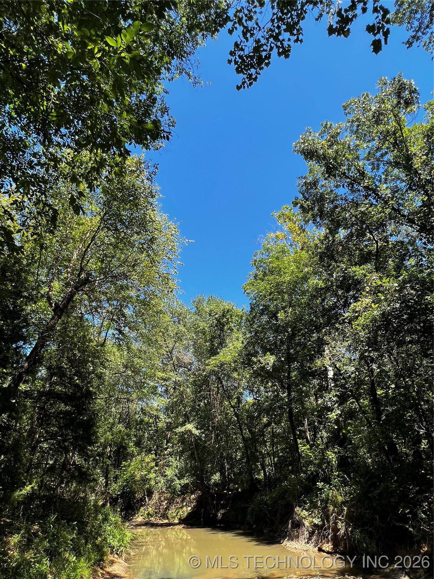 Rocky Point Property Photo 10