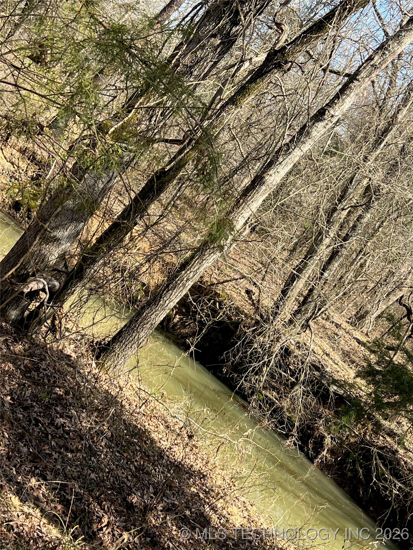 Rocky Point Property Photo 11