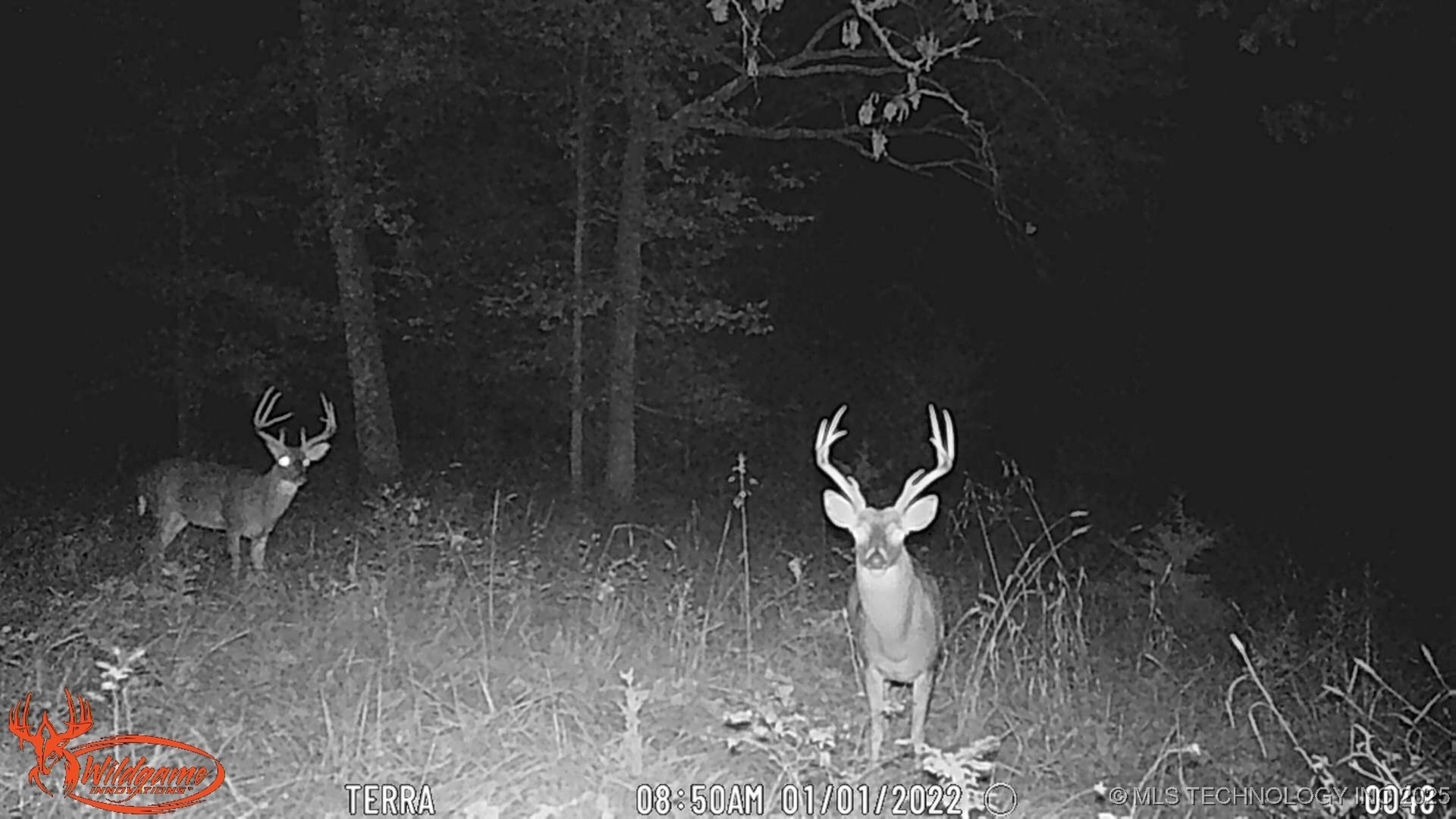 98686 S 4540 Road Property Photo 8