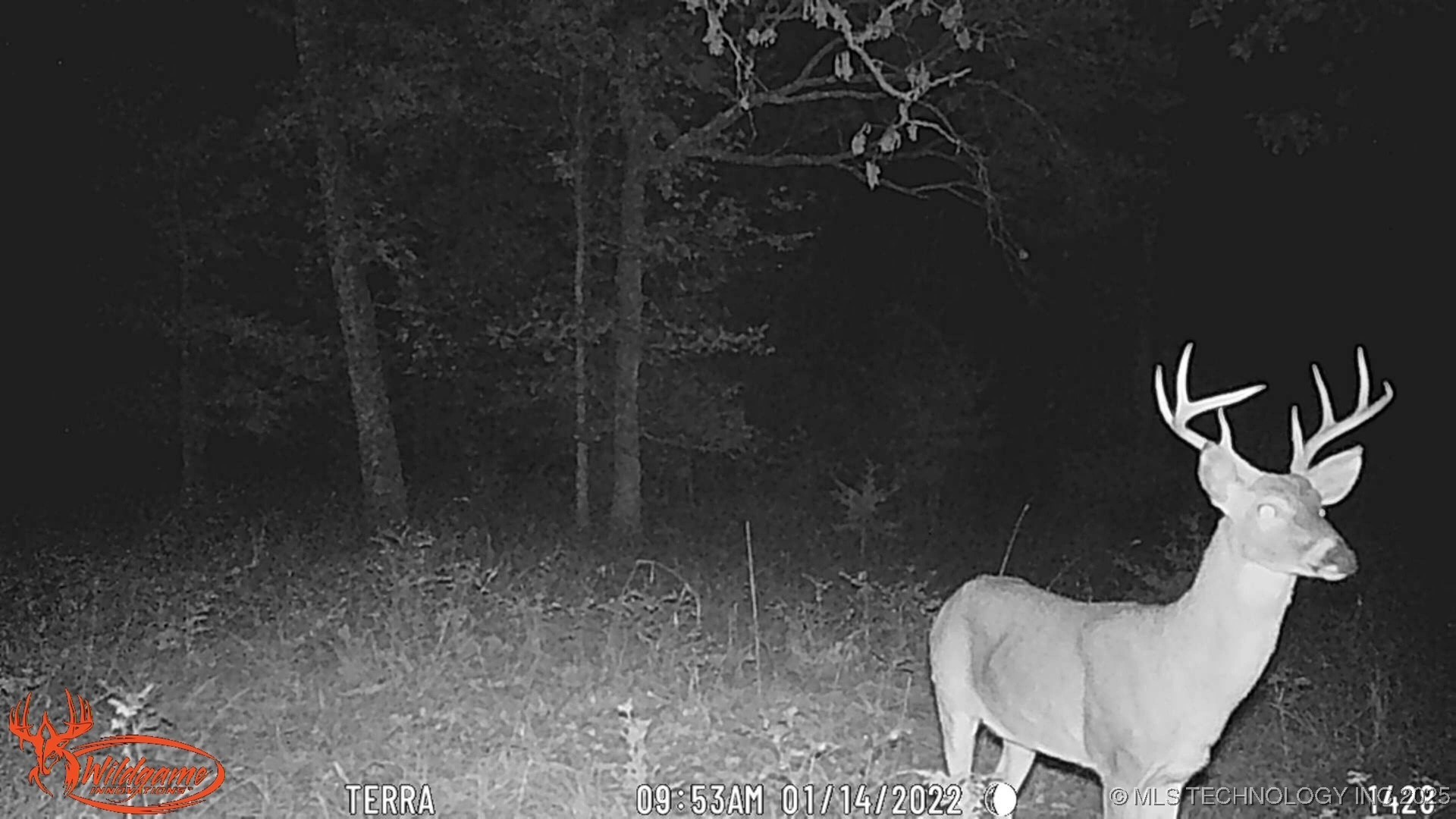 98686 S 4540 Road Property Photo 48