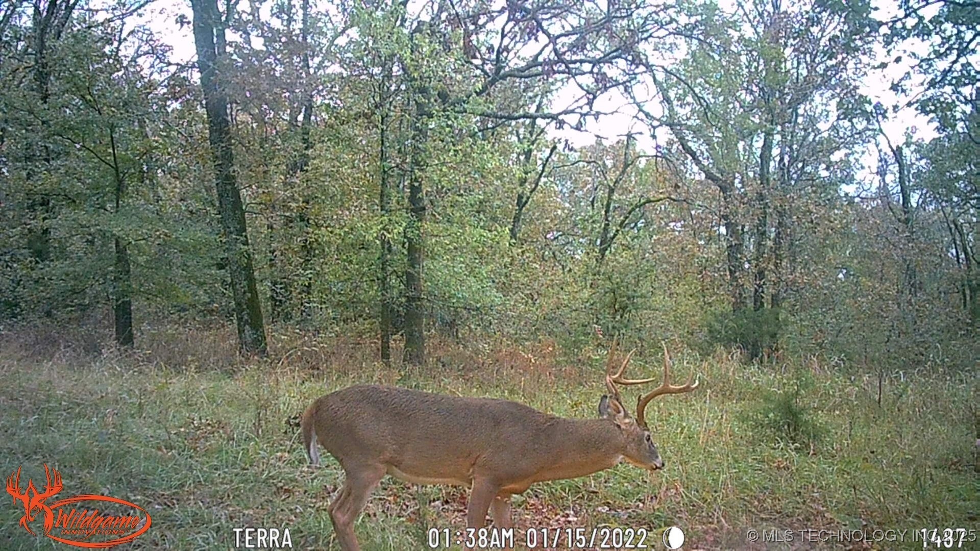 98686 S 4540 Road Property Photo 50