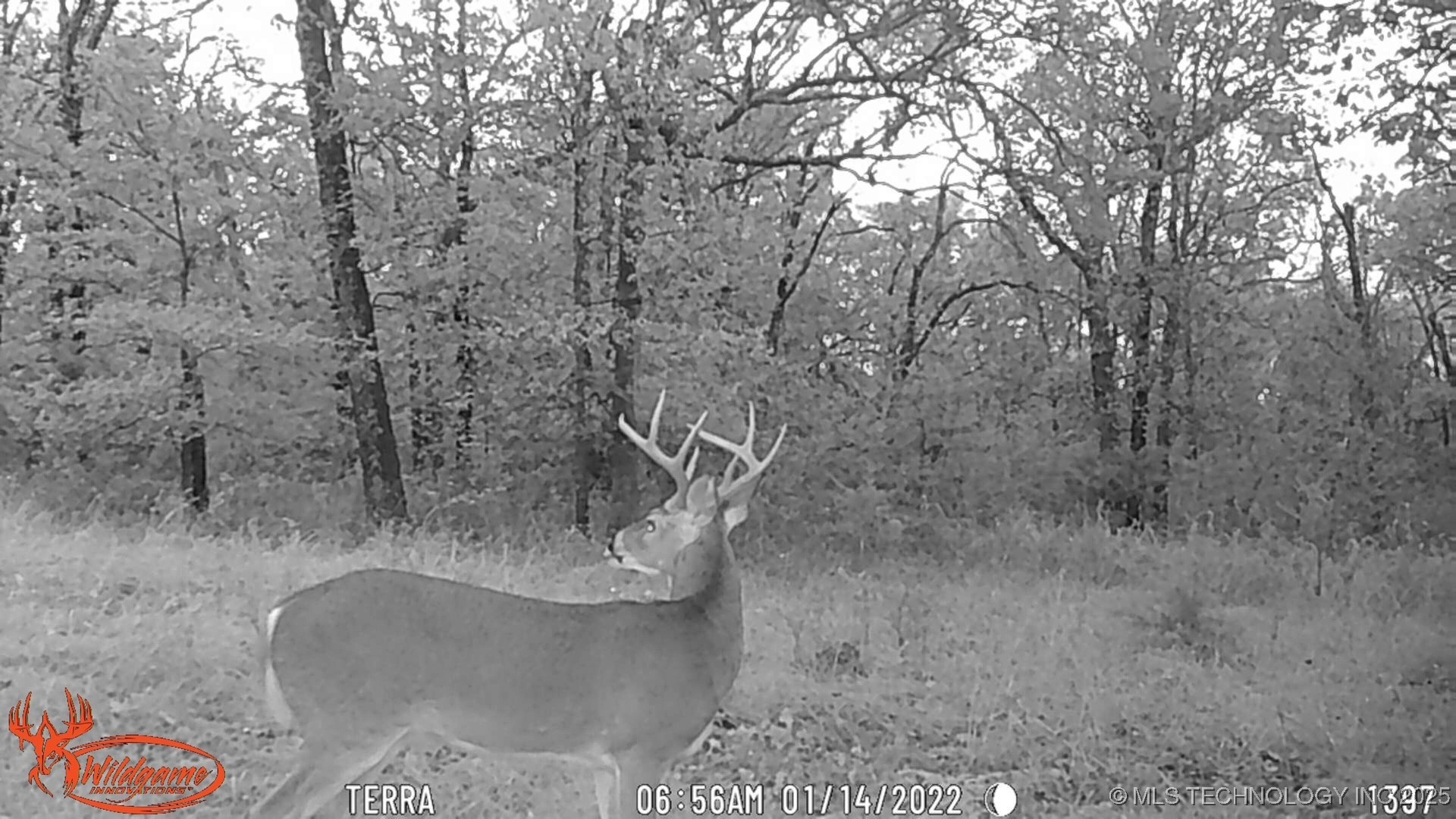 98686 S 4540 Road Property Photo 51