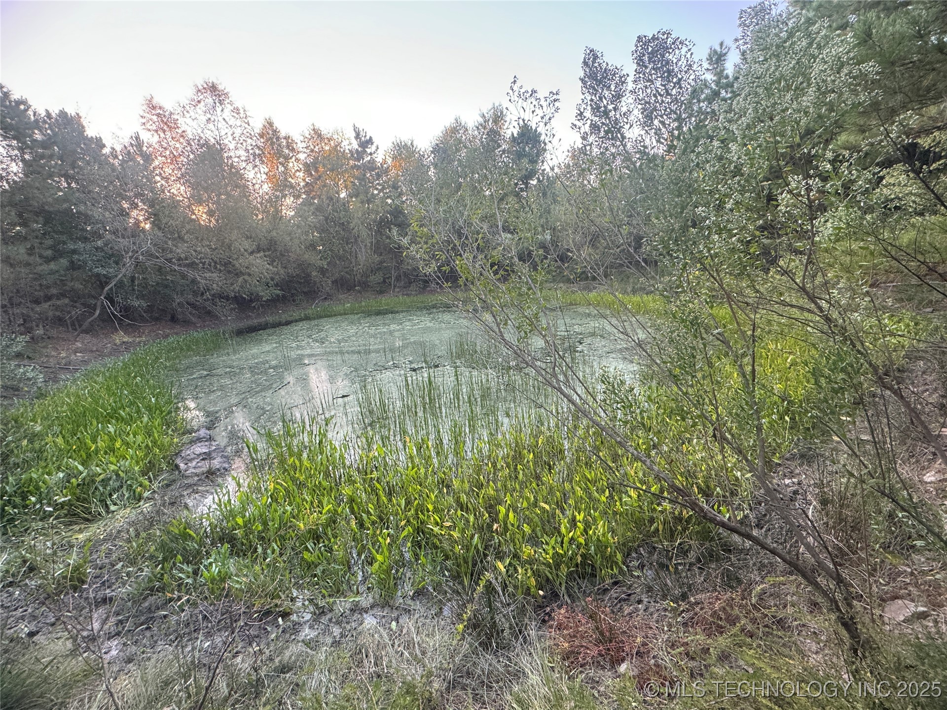 Rural Route Property Photo 14