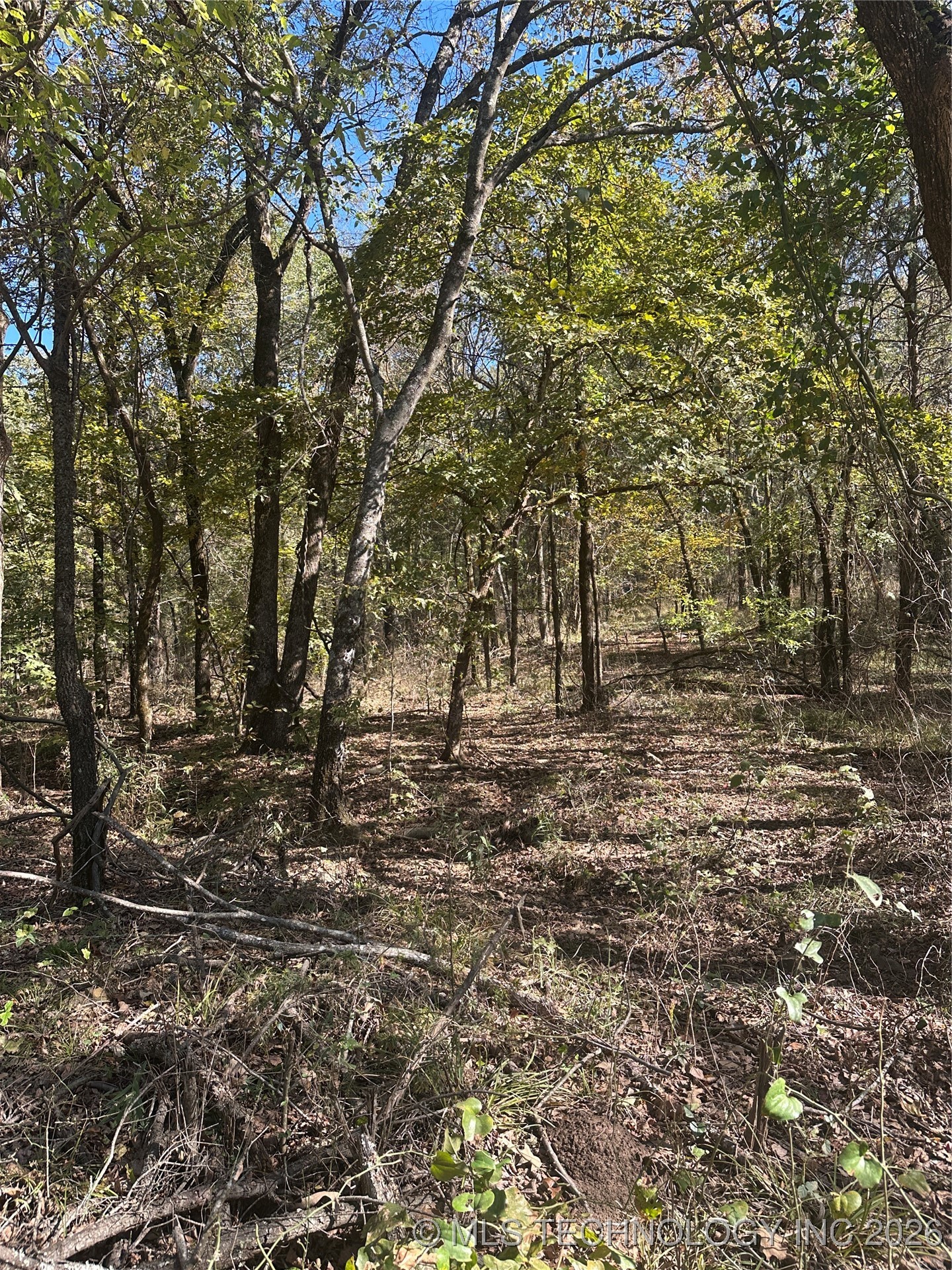 Rural Route Property Photo 17