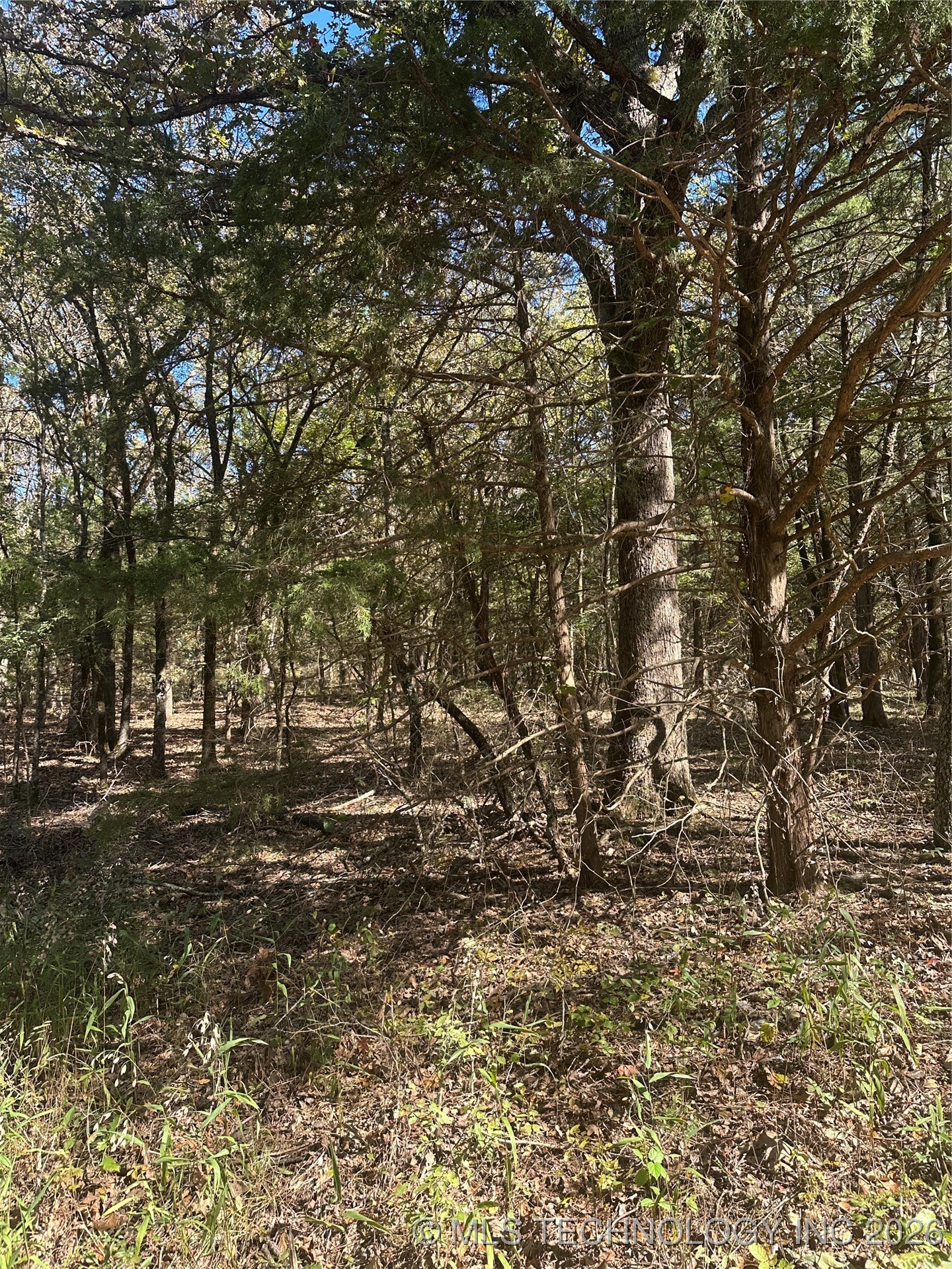 Rural Route Property Photo 18