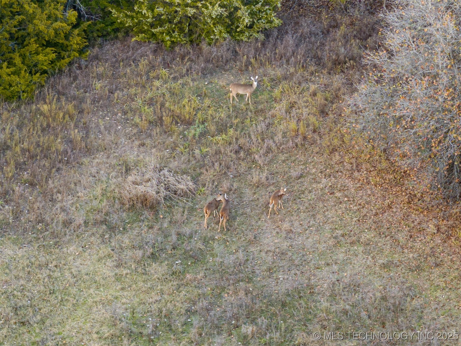 14658 S 486 West Avenue Property Photo 46