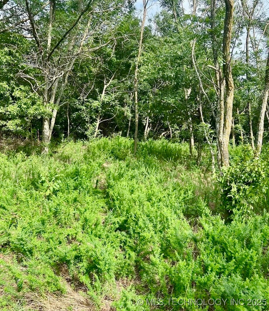 26857 E Highway 66 Highway Property Photo 9