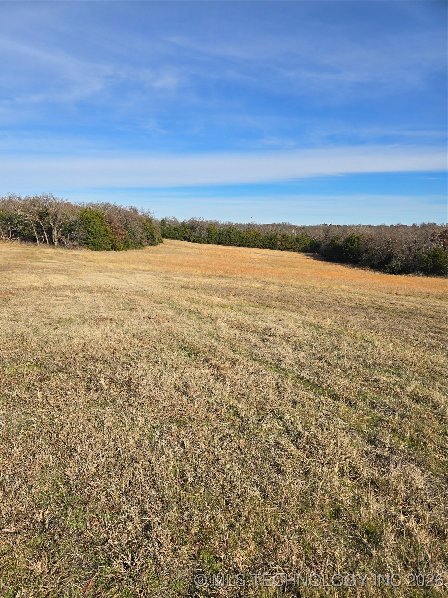 29500 Harvest Property Photo 5