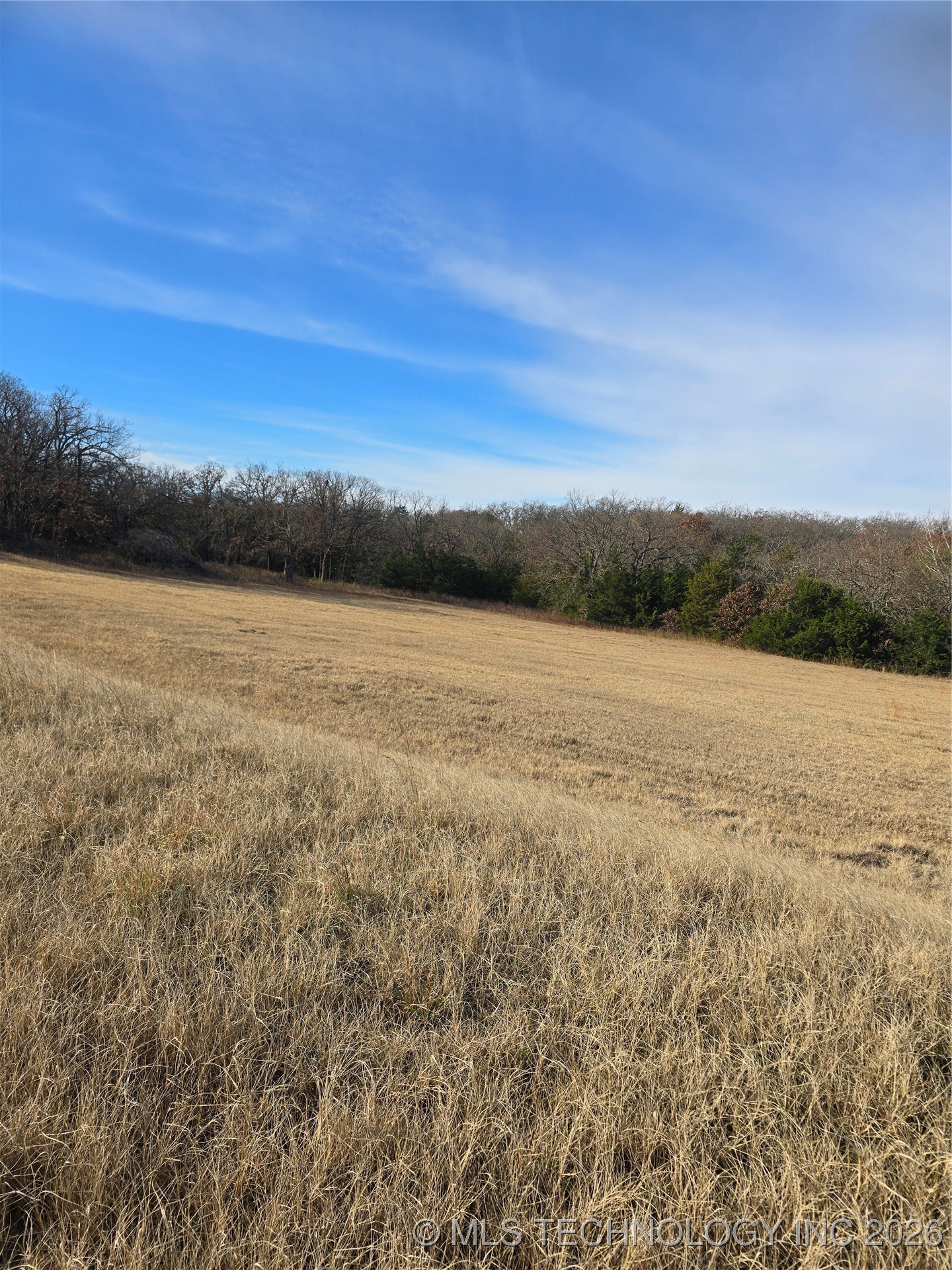 29500 Harvest Property Photo 13