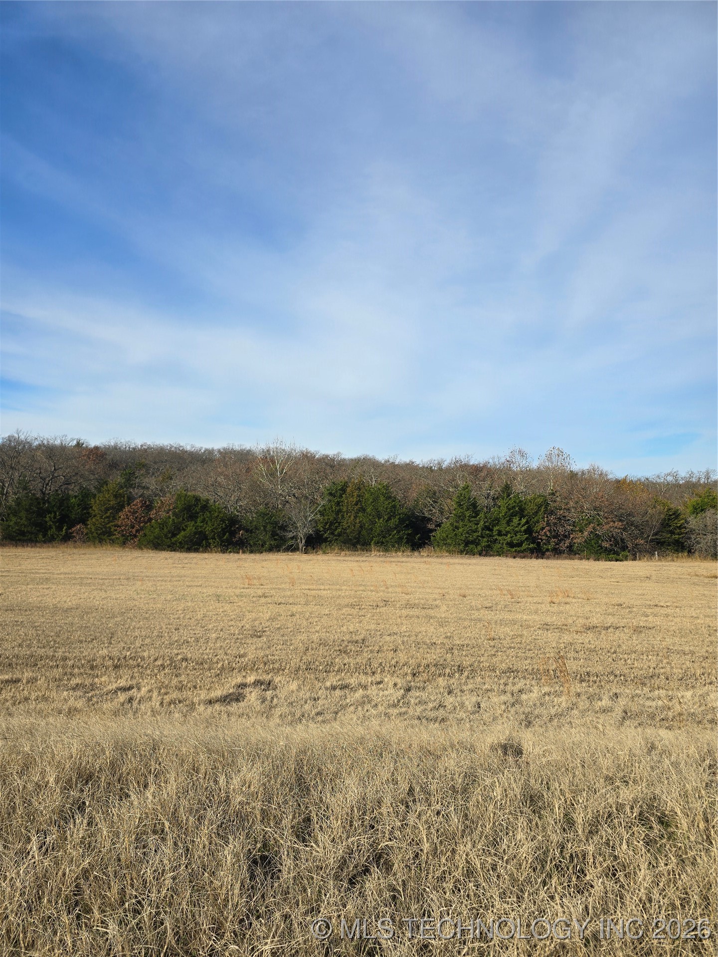 29500 Harvest Property Photo 14