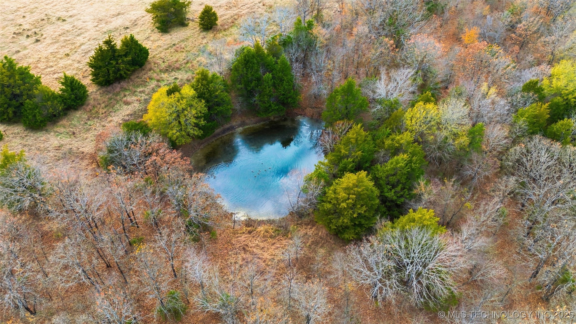 00000 Hwy 75 Property Photo 6