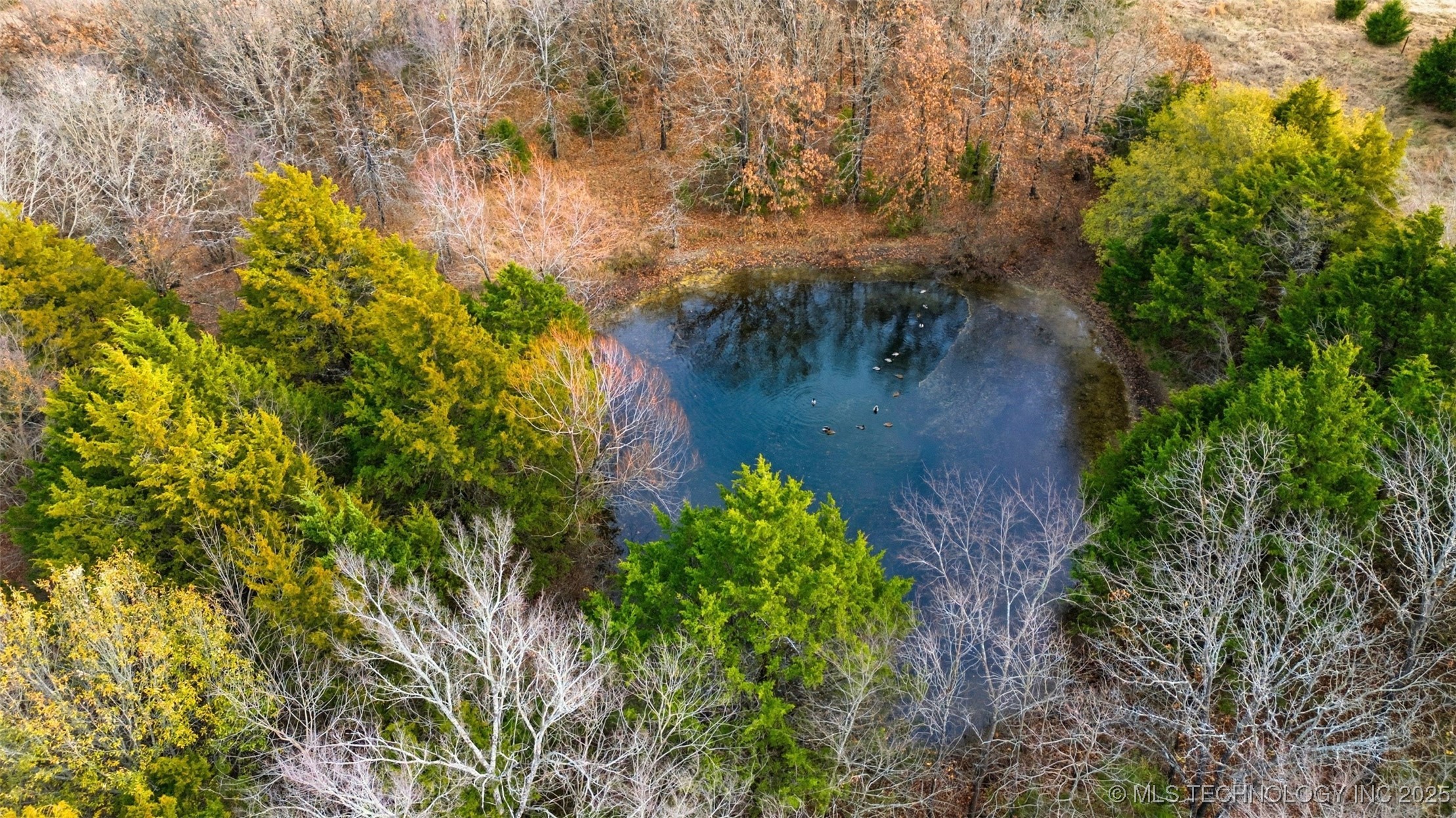 00000 Hwy 75 Property Photo 8