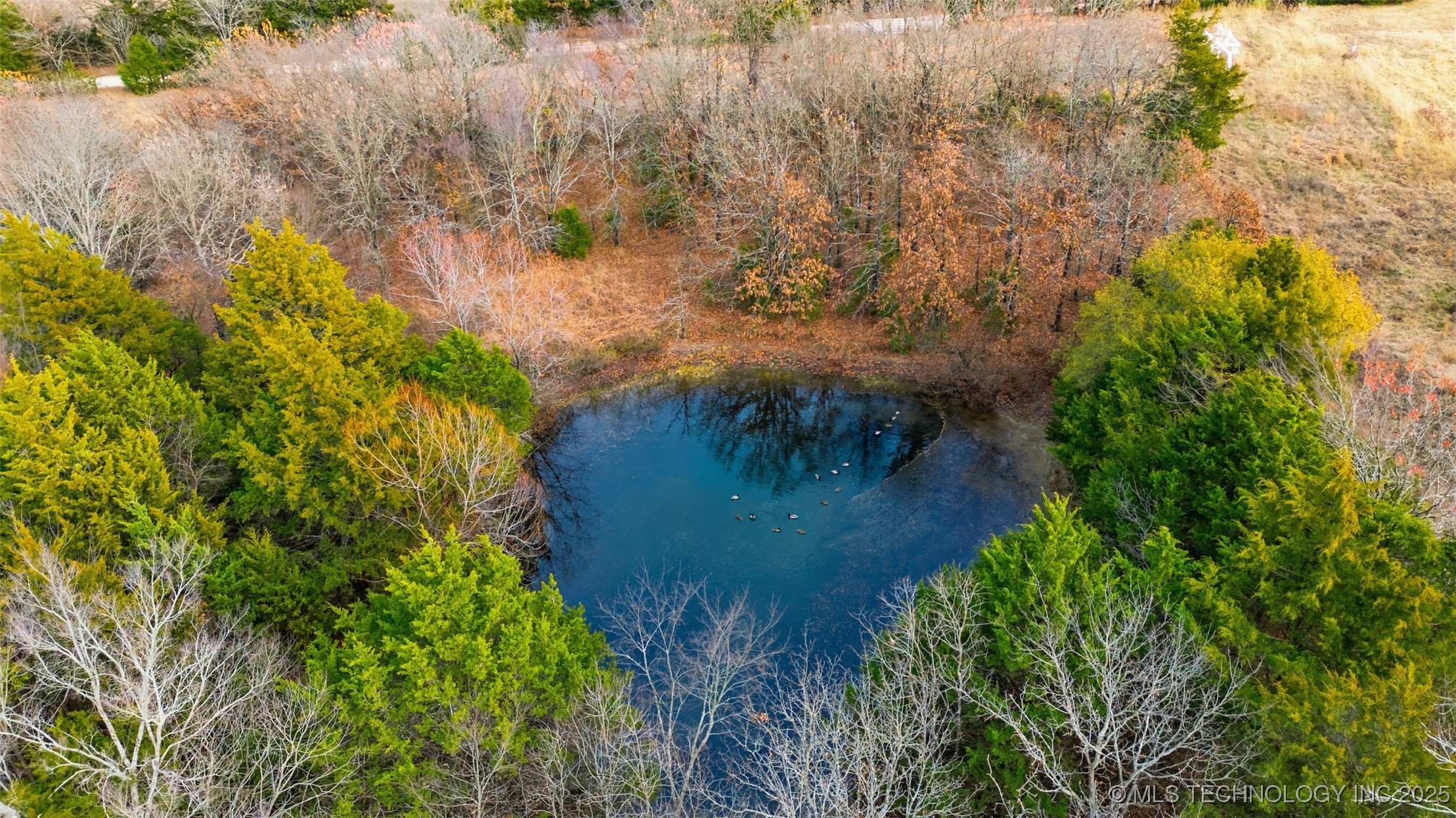 00000 Hwy 75 Property Photo 9