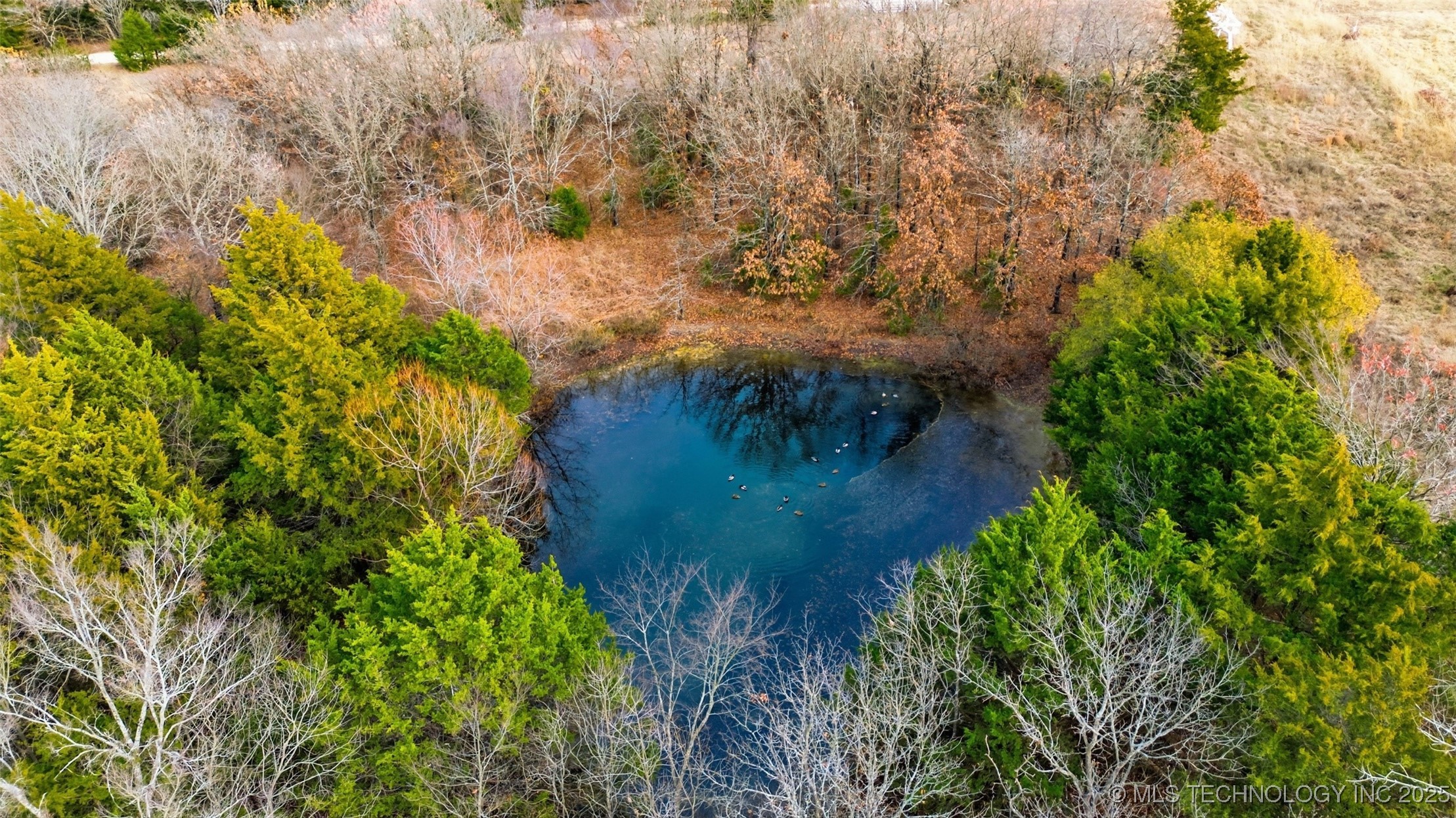 00000 Hwy 75 Property Photo 10