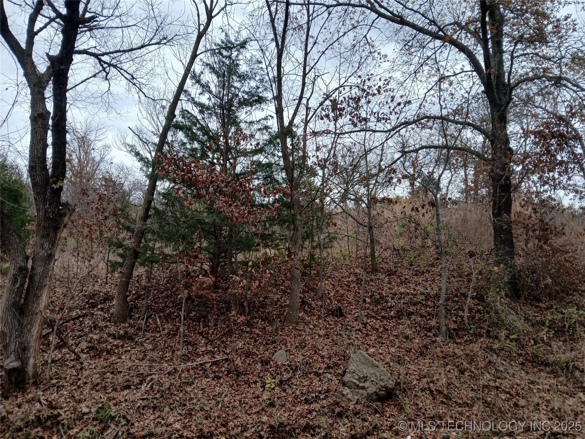 Sahoma Lake Road Property Photo 2