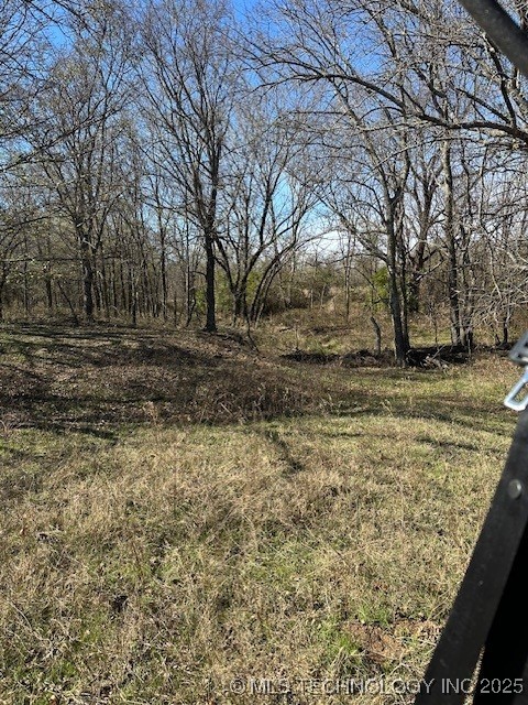 Chicken Fight Road Property Photo 4