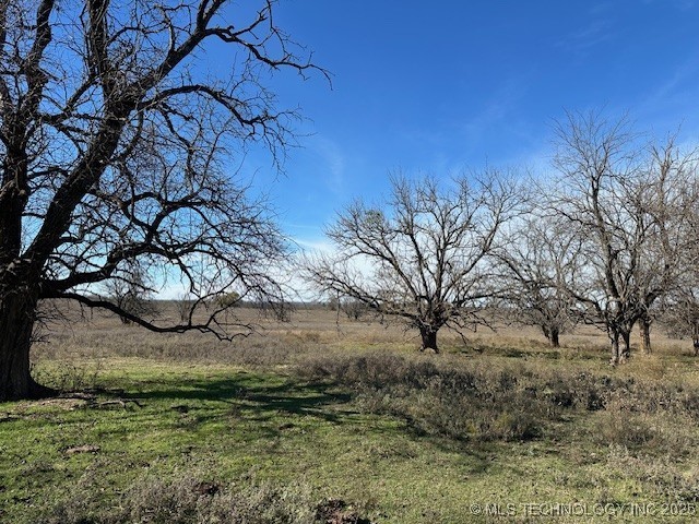 Chicken Fight Road Property Photo 9