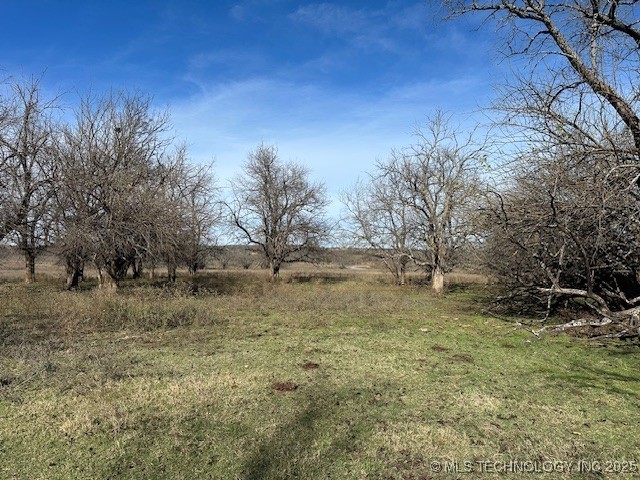 Chicken Fight Road Property Photo 10