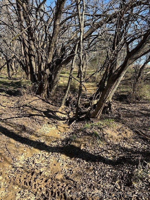 Chicken Fight Road Property Photo 14