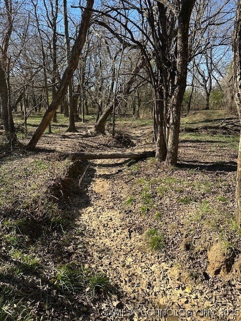 Chicken Fight Road Property Photo 15