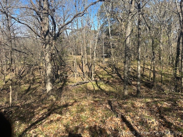 Hickory Hill Road Property Photo 19