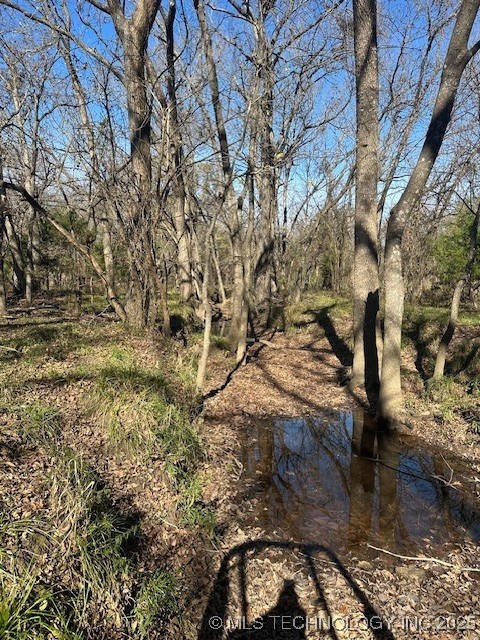 Hickory Hill Road Property Photo 20