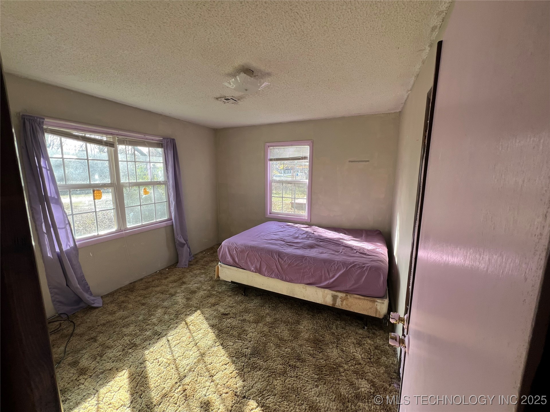 317 W Cedar Street Property Photo 5