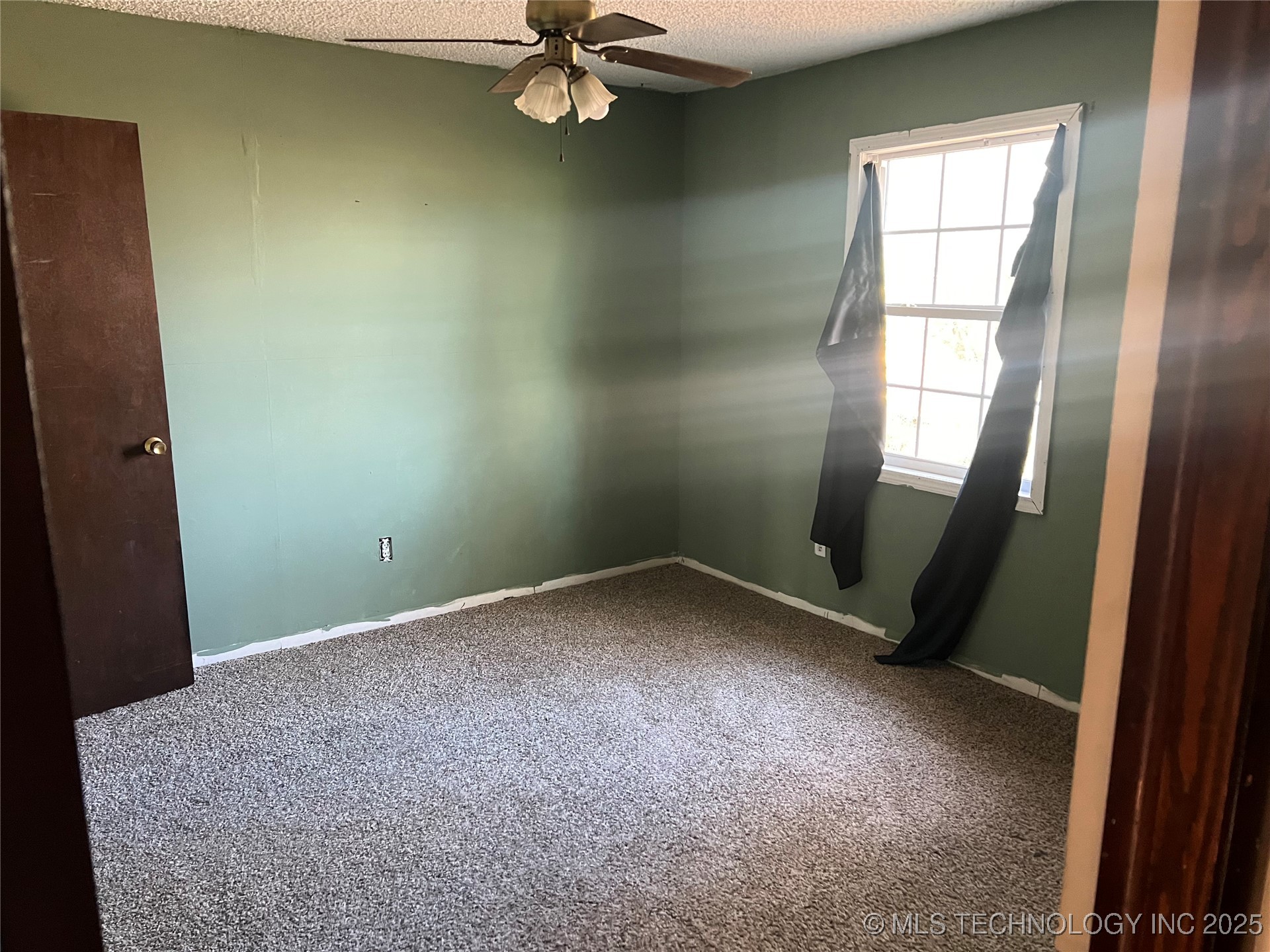 317 W Cedar Street Property Photo 8