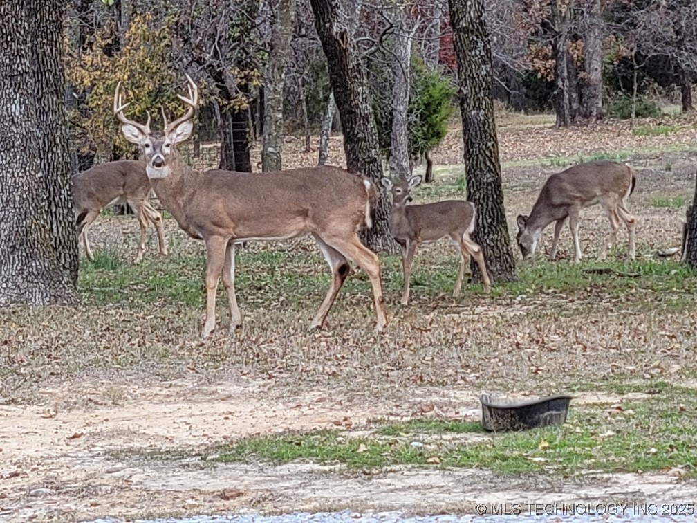 30 Peach Street Property Photo 56