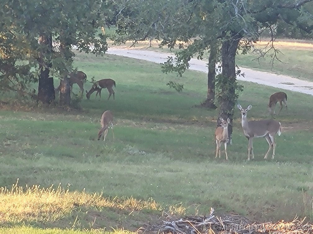 30 Peach Street Property Photo 57