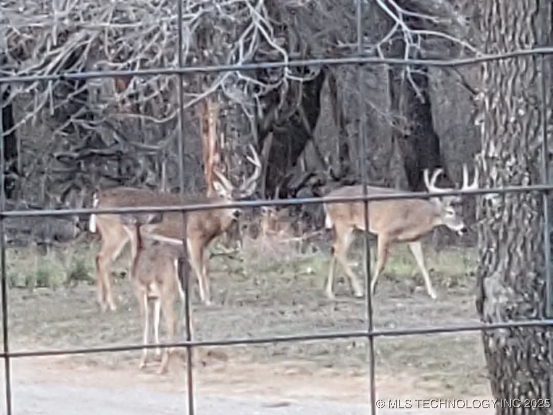 30 Peach Street Property Photo 59