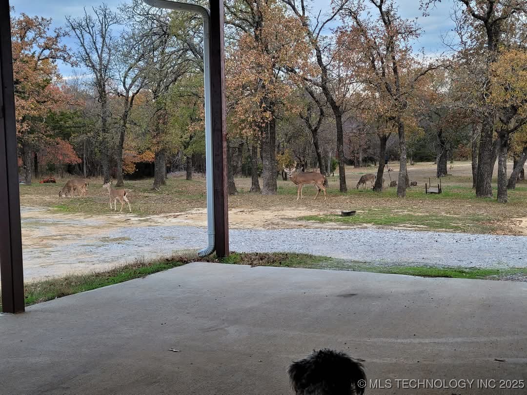 30 Peach Street Property Photo 60