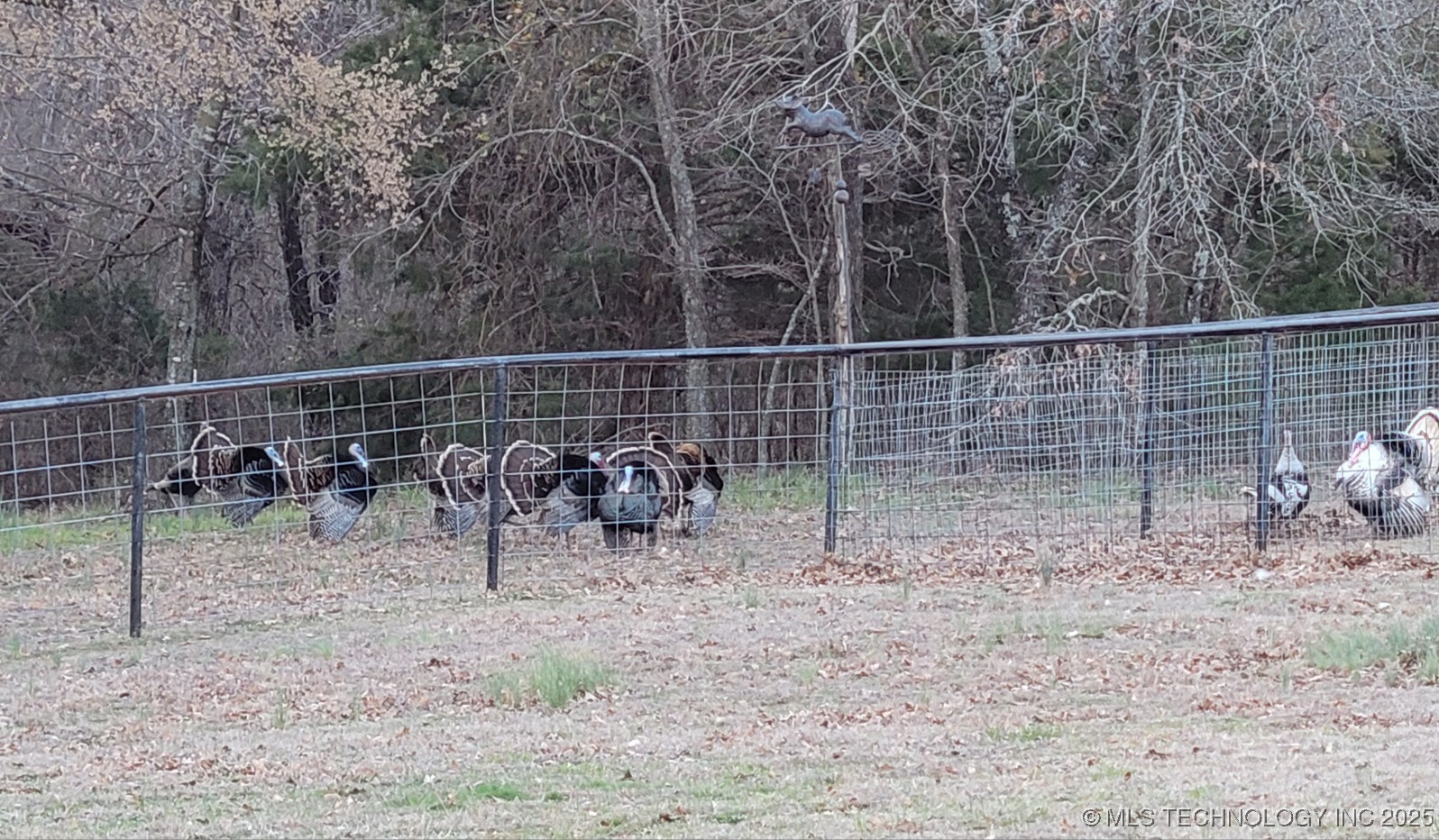 30 Peach Street Property Photo 61